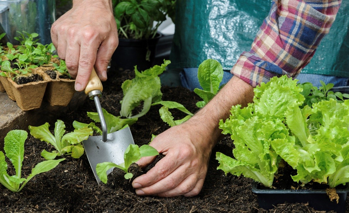 Top Tips to Help Prevent Gardening Injuries